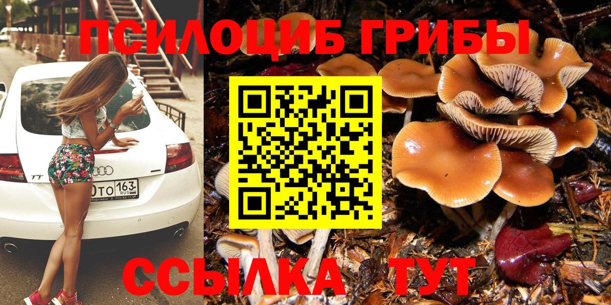 Тула  Псилоцибиновые грибы прущие грибы  Вход с VPN 
